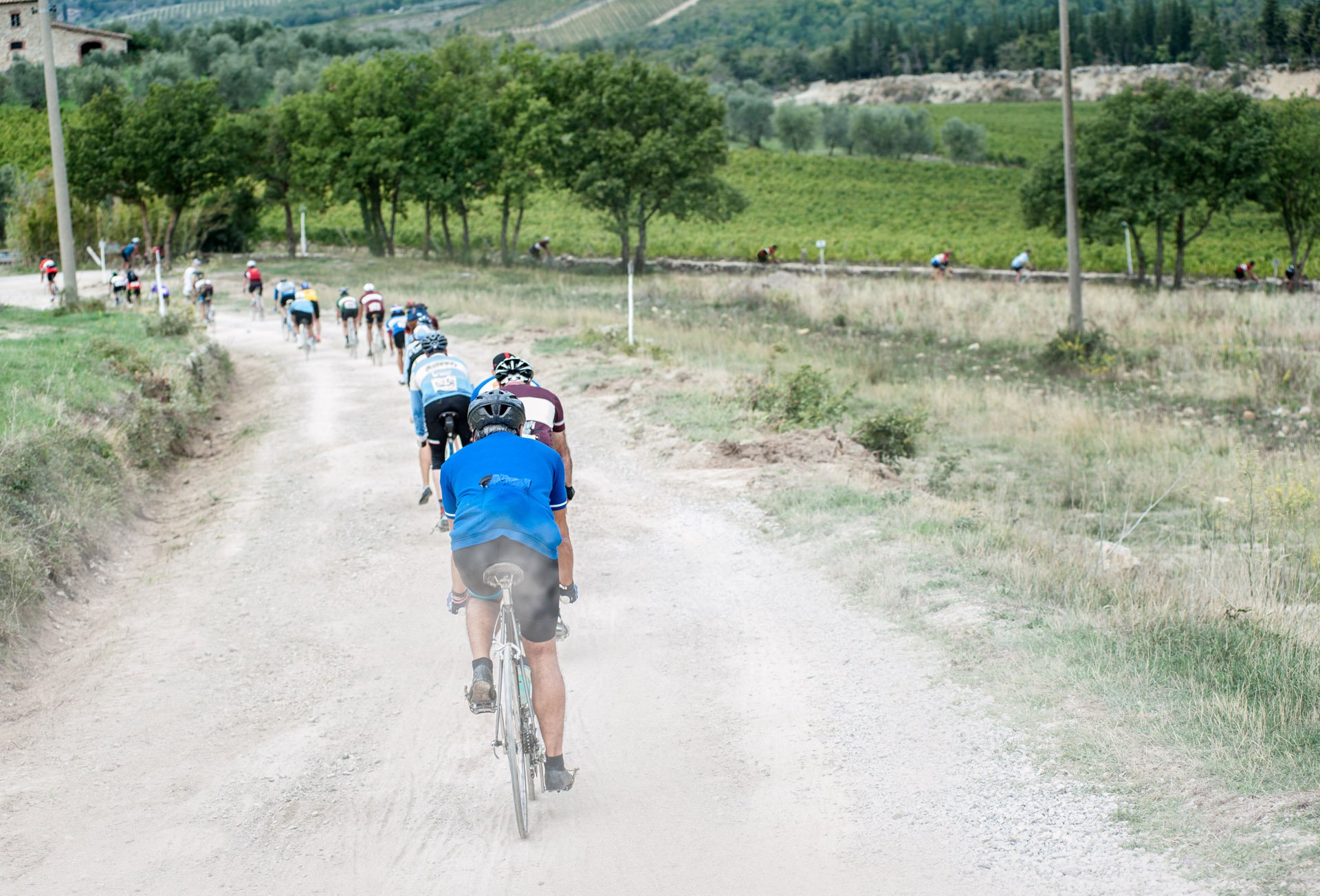 Ciclisti lungo il tracciato dell'Eroica