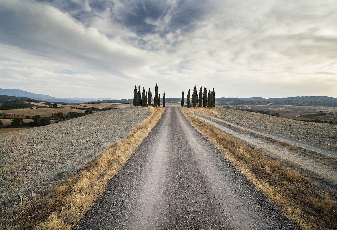 I cipressi della Val d'Orcia