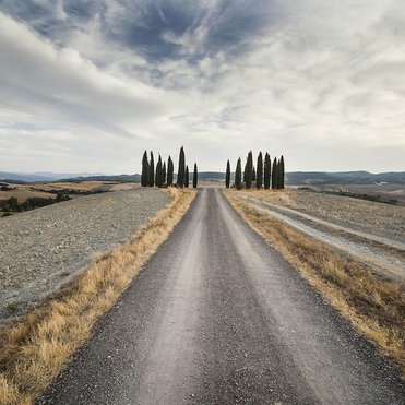 I cipressi della Val d'Orcia